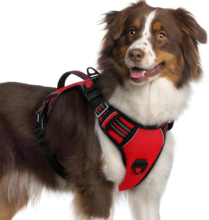 rabbitgoo Dog Harness for Large Dogs, No Pull Pet Harness with Soft Padded Handle, Adjustable Reflective Vest with 3 Buckles, Easy Walking Harness with 2 Leash Clips, Red, XL