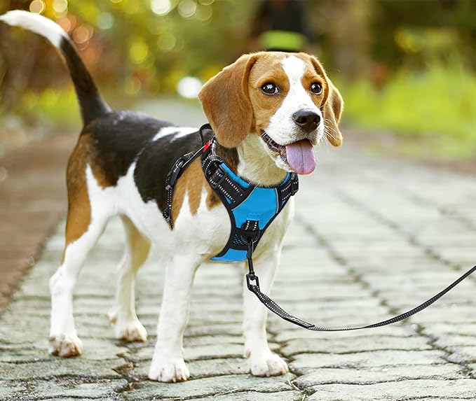 PoyPet No Pull Dog Harness, No Choke Front Lead Dog Reflective Harness, Adjustable Soft Padded Pet Vest with Easy Control Handle for Small to Large Dogs(Blue,S)