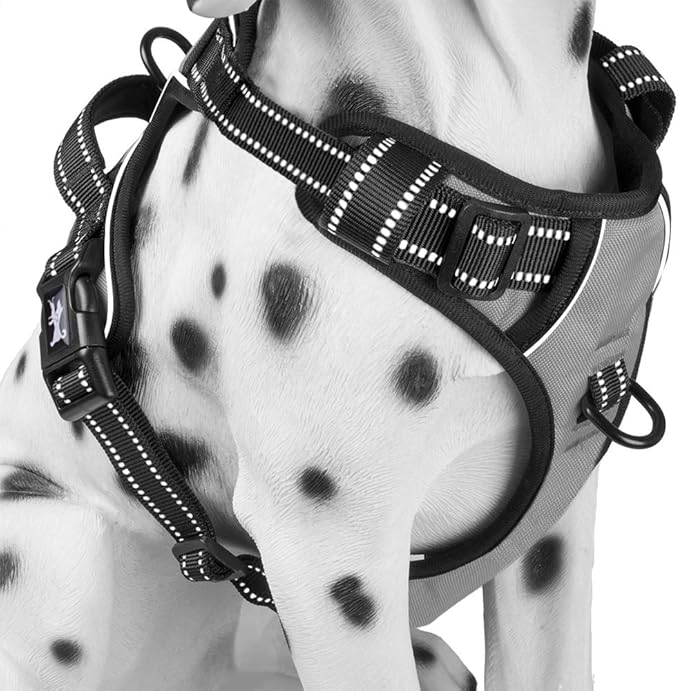 PoyPet No Pull Dog Harness, Reflective Comfortable Vest Harness with Front & Back 2 Leash Attachments and Easy Control Handle Adjustable Soft Padded Pet Vest for Small to Large Dogs (Gray,XS)
