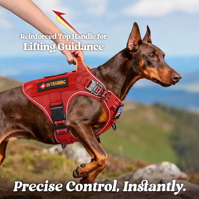 rabbitgoo Tactical Dog Harness Medium Large Sized, No Pull Upgraded Reflective Heavy Duty Molle Vest with Handle, Adjustable Military Service Dog Vest for Walking Hiking Training, Red, M