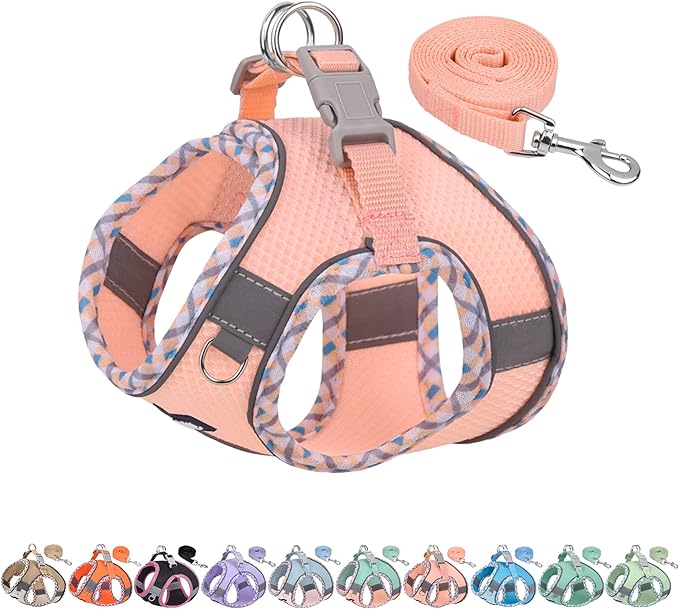 AIITLE Dog Harness and Leash Set - Ultra-Comfortable XXS-XL Vest with Strong Magic Tape & Glow-in-Dark Reflective Strips, Chafe-Free for Teddy, Schnauzer (Pink, M)