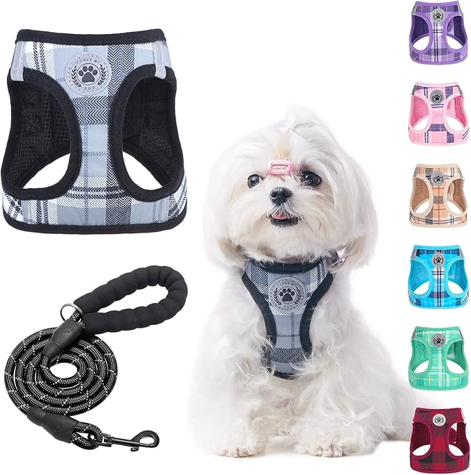 BEAUTYZOO Small Dog Harness and Leash Set,Step in No Choke No Pull Soft Mesh Dog Harnesses Reflective for Extra-Small Medium Puppy Dogs and Cats, Plaid Dog Vest Harness for XS S Pets, Grey S