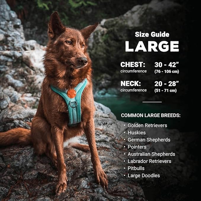 Wilderdog Lightweight Dog Harness with Reflective Straps - Large - Sienna