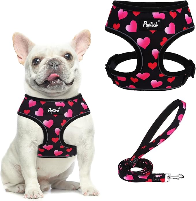 PUPTECK Soft Mesh Dog Harness and Leash Set Pet Puppy Cat Comfort Padded Vest No Pull Harnesses Valentine, Black&Pink, L