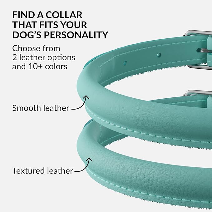 CollarDirect Rolled Leather Dog Collar, Soft Padded Round Puppy Collar, Handmade Genuine Leather Collar Dog Small Large Cat Collars 13 Colors (12-15 Inch, Mint Greent Smooth)