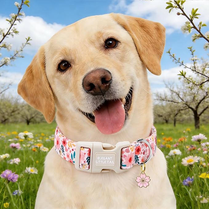Elegant little tail Dog Collar, Pink Flower Print Spring Soft Cotton Puppy Collars Adorable Female Pet Gift Lightweight Plastic Adjustable Dog Collar for Medium Dogs