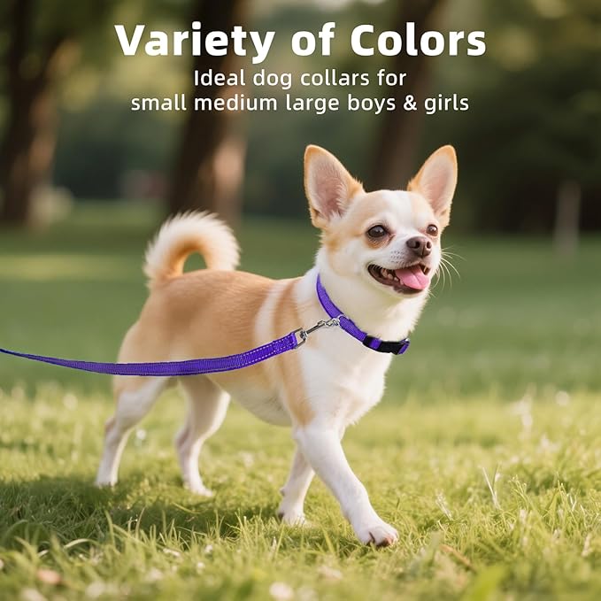 Soft Reflective Dog Collar for Extra Small Dogs, Lightweight Adjustable Puppy Collar with Neoprene Padding, Gentle Nylon for Chihuahua Yorkie,Purple,XS