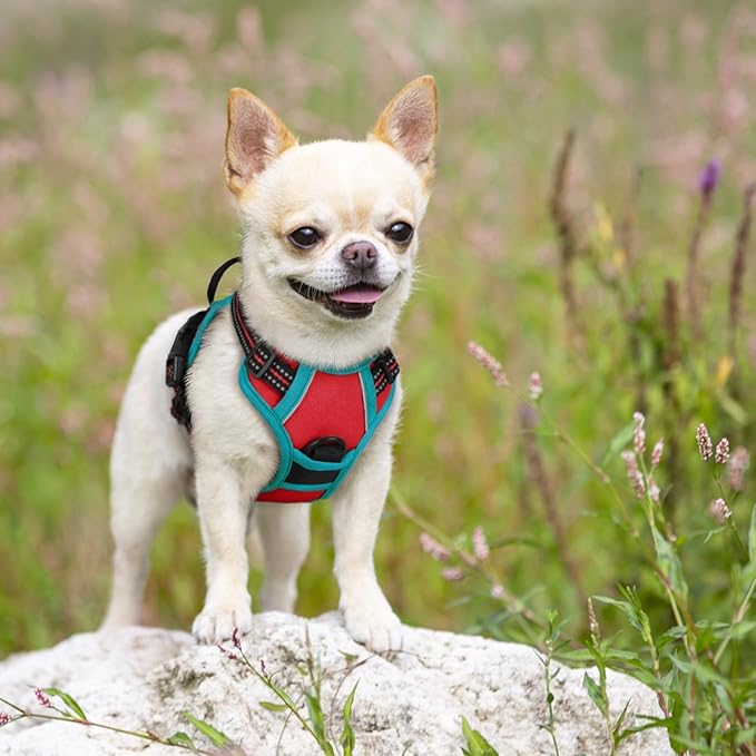 rabbitgoo Dog Harness No Pull with 2 Leash Clips, Adjustable Soft Padded, Reflective Oxford No Choke Pet Vest with Easy Control Handle for Puppy, Red & Teal, XS