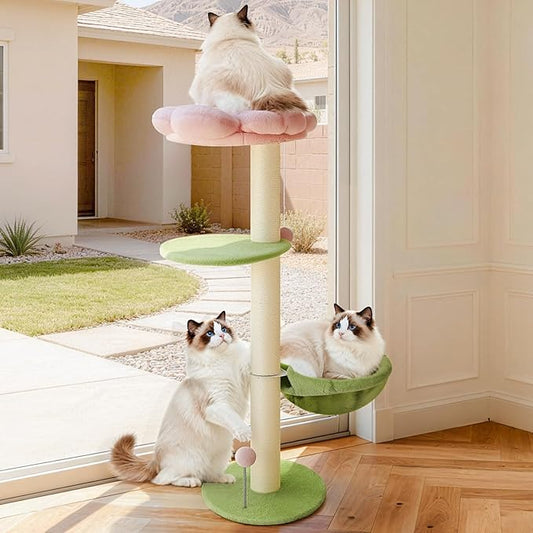 2-in-1 Cat Window Perch and Wall Shelves for Large Cats, Window Perch for Cats Inside with Washable Fabric Cover, 19.7" Removable Flower Cat Perches Bed with 2 Strong Suction Cups for Bird Watching