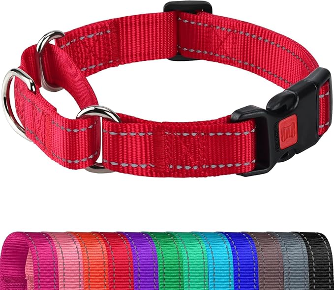 Joytale Martingale Collar for Dogs, Reflective Heavy Duty for Safety, Quick Release Buckle, Adjustable Nylon Collars for Puppy and XSmall Dogs Walking Training, Red,XS