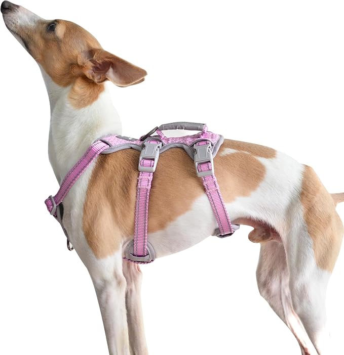 Huntboo Escape Proof Dog Harness, Escape Artist Harness, Fully Reflective Vest with Padded Handle, Breathable,Durable, Adjustable Vest for Medium Dogs Walking, Training, and Running Gear (Pink, XS
