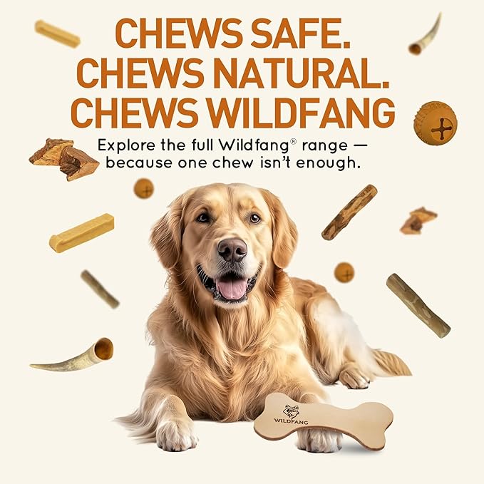 Wildfang® Leather Dog Toy, Medium– Soft Dog Toy & Dog Chew Toy for Gentle Chewer, Puppies & Senior Dogs with Sensitive Teeth – Non-Toxic, Stuffless Leather Bone, 5 mm for Dog Over 22-33 lbs, Pack of 3