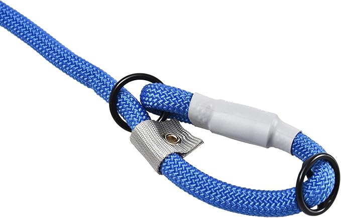 Cesar Millan Slip Lead Leash??- 2-in-1 Slip Collar Dog Training Lead & Collar | Heavy Duty Durable Weatherproof Rope Leash, No Pull Training | Length 4ft Diameter 1/2??(Large, Blue)
