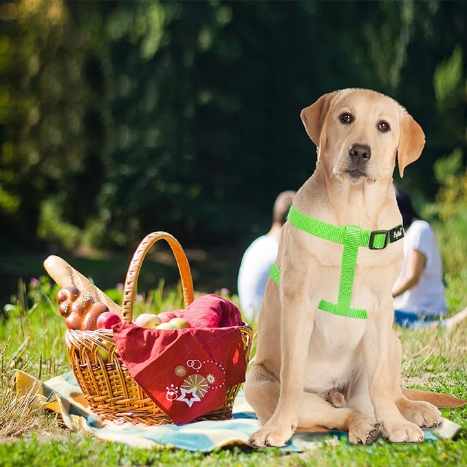 PUPTECK No Pull Dog Harness Soft Adjustable Basic Nylon Step in Puppy Vest Outdoor Walking with ID Tag, Green, M