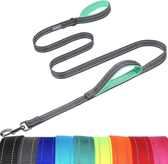 VIVAGLORY Twingrip Dog Leash, Double Handle Dog Leash for Training & Walking with Traffic Handle & 2 Loop, Traffic Control Reflective Heavy Duty for Puppy Pet, 5ft x 1in, Grey