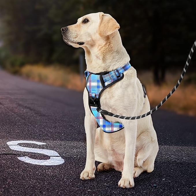 IVY&LANE No Pull Dog Harness with Leash Set, Reflective No Choke Pet Vest,Adjustable Oxford Dog Vest Harness with Easy Control Handle for Medium Lagre Dogs (Checkered Blue,M)