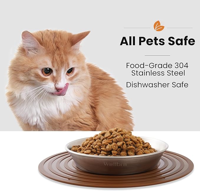 Cat Food Bowls, 2 Pcs Stainless Steel Cat Food and Water Bowls, Whisker Fatigue Shallow Cat Dishes, Small Dog Puppies Fat Faced Cat Kitten Supplies