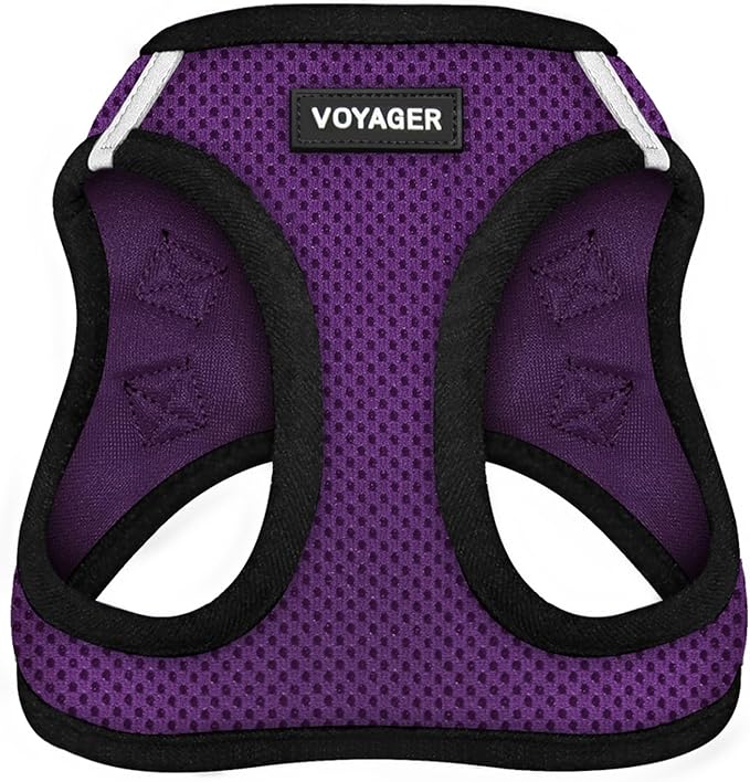 Best Pet Supplies Voyager Step-in Air Harness - All Weather Mesh, Reflective, No Pull Harness for Dogs, Cats - Secure with Hook & Loop Fastener, Buckle, Double D-Rings - Purple/Black Trim, XL