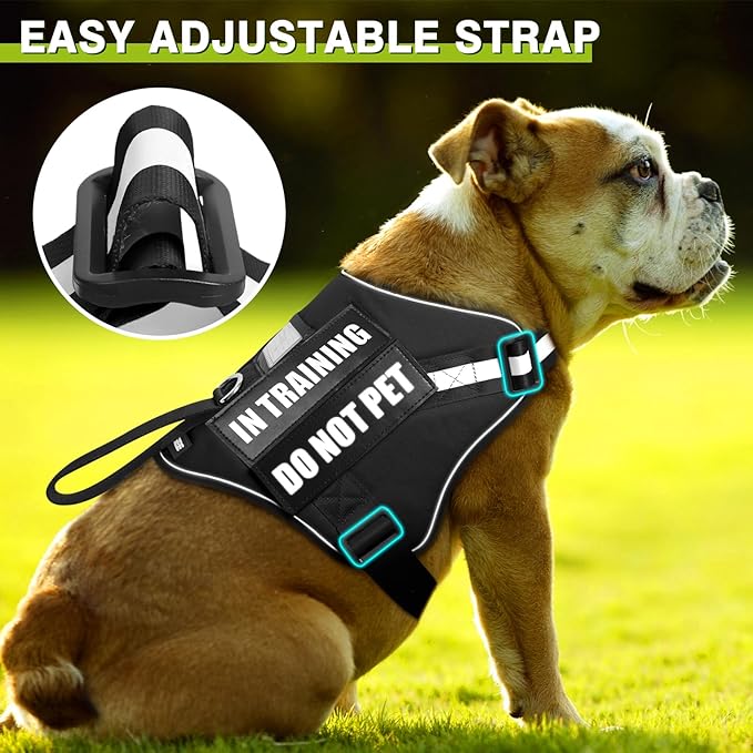 WINSEE Service Dog Harness & Leash Set, Large, Black with 10 Patches, Reflective, Adjustable, for Medium & Large Dogs