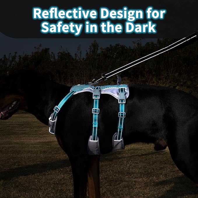 Huntboo Reflective Dog Harness with Handle, Escape Proof, No Slip, Breathable, Lightweight, Adjustable Lift Harness for Small, Medium, and Large Dogs Walking, Training, and Running Gear(Teal Blue,M)