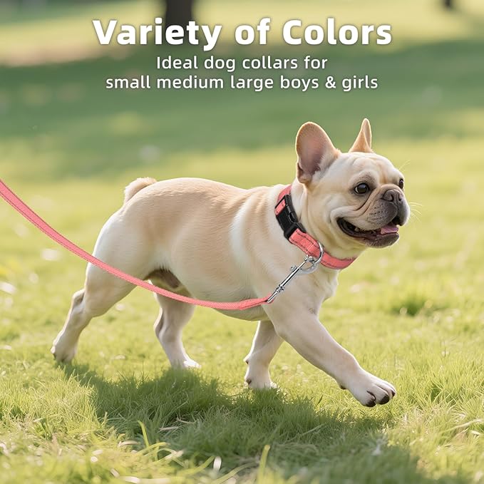 Reflective Dog Collar for Mediunm Dogs, Adjustable Collar with Soft Neoprene Padded, Durable Buckle for Daily Walking,Neon Pink,M, 3/4" Width