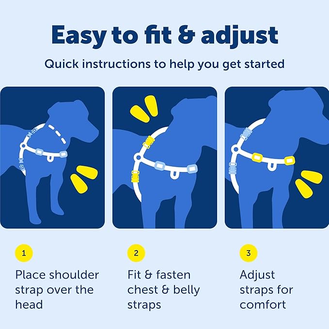 PetSafe Deluxe Easy Walk Harness - Trainer-Trusted Dog Chest Harness with Breathable Martingale Loop Design - Helps Stop Pulling with No Choking & Gagging - Medium/Large - Apple