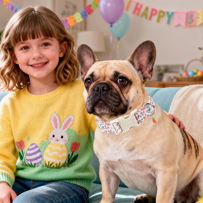 DOGWONG Easter Dog Collar-Cute Pink Easter Carrot Dog Collar, Easter Pet Collars Puppy Collar Gifts with Quick Release Buckle for Girl&Female Dogs,M