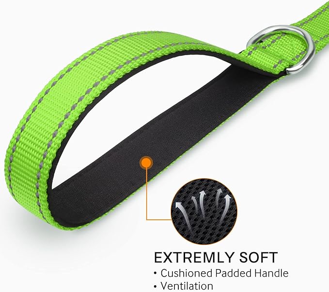 Joytale Dog Leash Heavy Duty for Large Medium Dogs, 5 FT Reflective Nylon Pet Walking Lead with Soft Padded Handle, Durable & Tangle Free for Training, Running & Safety Control, Green