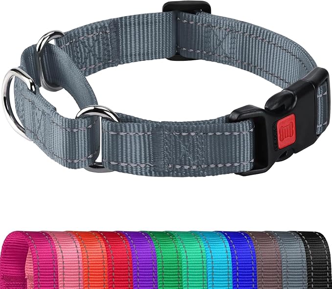 Joytale Martingale Collar for Dogs, Reflective Heavy Duty for Safety, Quick Release Buckle, Adjustable Nylon Collars for Medium Dogs Walking Training, Gray,M