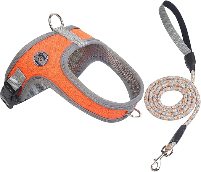 Dog Harness and Leash Set, No Pull Saddle Style Pet Harness, Breathable Mesh Adjustable Reflective Dog Vest for Dogs and Cat Medium Small Harness 2 D-Rings (Orange, M)