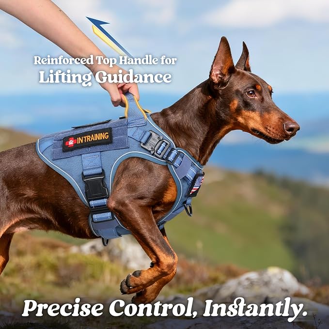 rabbitgoo Tactical Dog Harness Small Medium Sized, No Pull Upgraded Reflective Heavy Duty Molle Vest with Handle, Adjustable Military Service Dog Vest for Walking Hiking Training, Blue, S