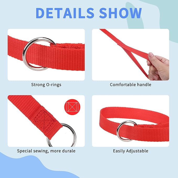 HOMIMP Slip Lead Dog Leash 6 FT- 12 PCS Bulk Colors Kennel Control Leashes for Small Medium Large Dogs Puppy Animal Rescue, Grooming - Heavy Duty Strong Nylon 6 Foot Long for Shelter, Vet, Training
