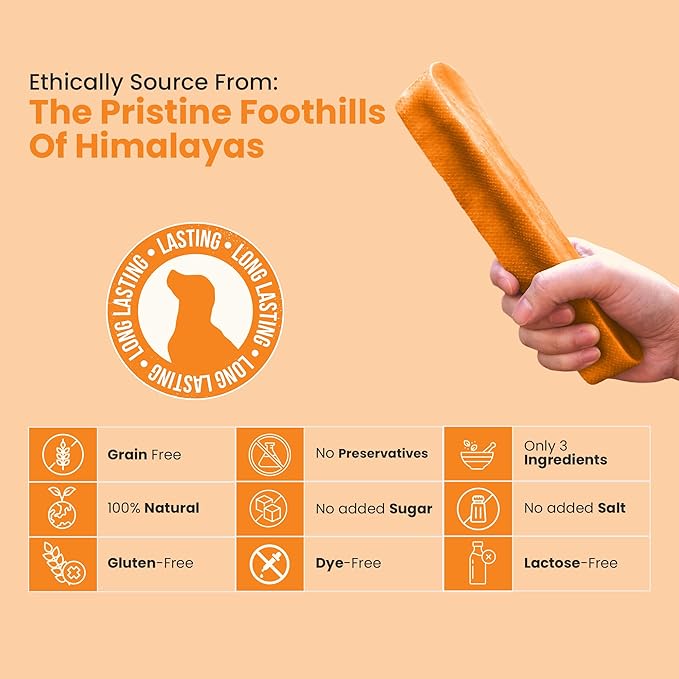 KATHMANDU'S 100% Natural Pumpkin Flavored Yak Chews – Keep Dogs Busy & Happy with Our Lactose&Rawhide Free Himalayan Dog Chews - Long Lasting Dental Treats for Aggressive Chewers (Large, Pack of 4)