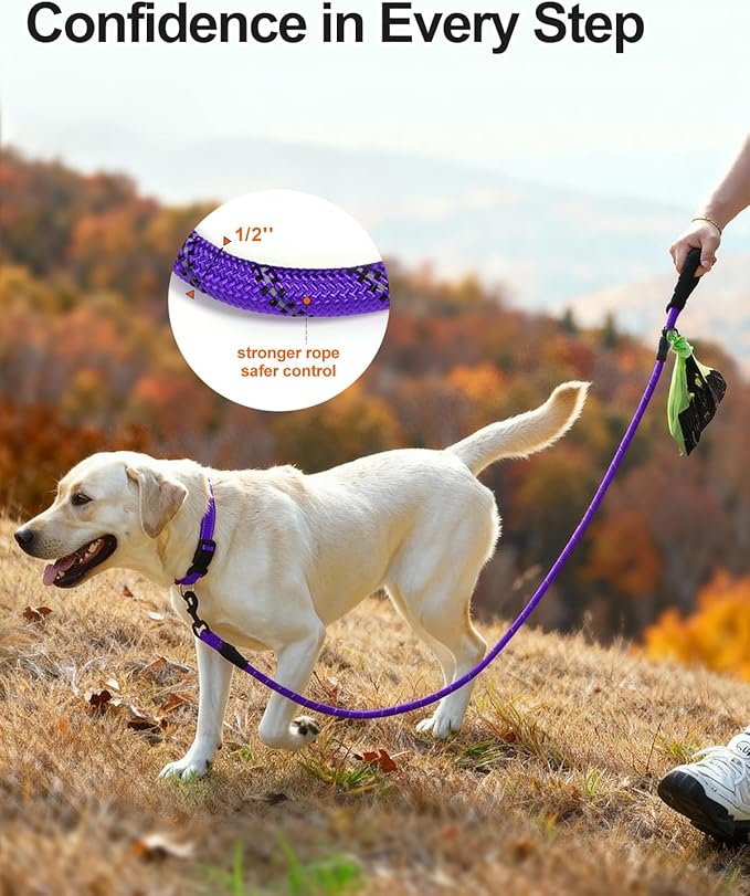 Joytale Dog Leash for Large Dogs, Heavy Duty Nylon Leashes with Comfortable Padded Handle and Highly Reflective Threads, Ideal for Walking and Training, Purple, 6'횞1/2''