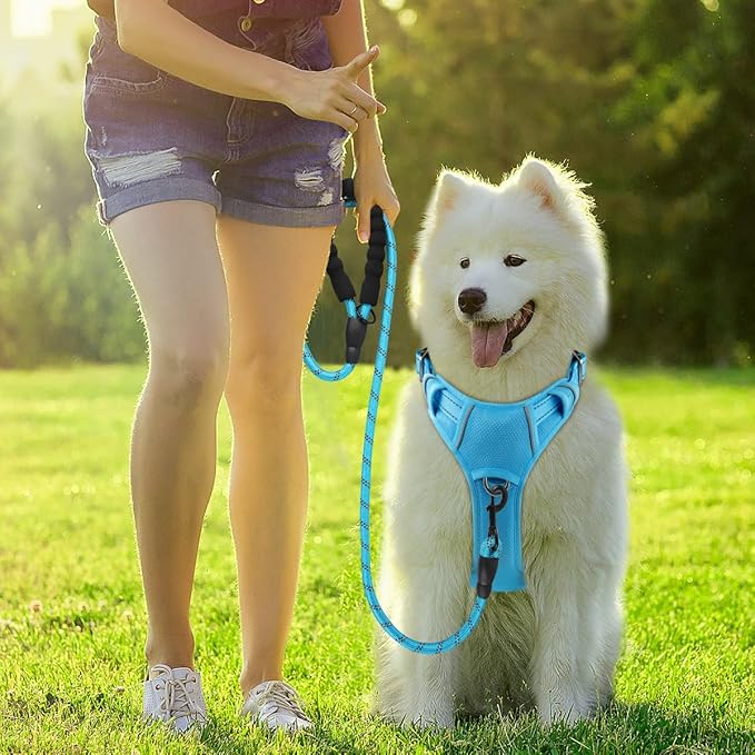 BARKBAY Dog Harness No Pull with ID Tag Pocket - Heavy Duty, Reflective, Easy Control for Large Dogs(Blue,L)