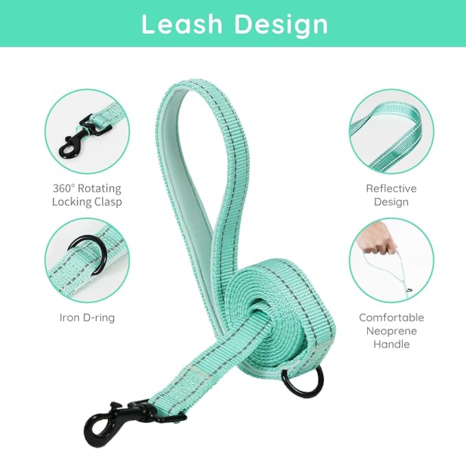 BELLA & PAL Step in Vest Harness for Small and Medium Dogs, No Pull Small Dog Harness with Leash Set, Comfortable Air Mesh Dog Vest Harness with Reflective Strip (Light Green, XXS)