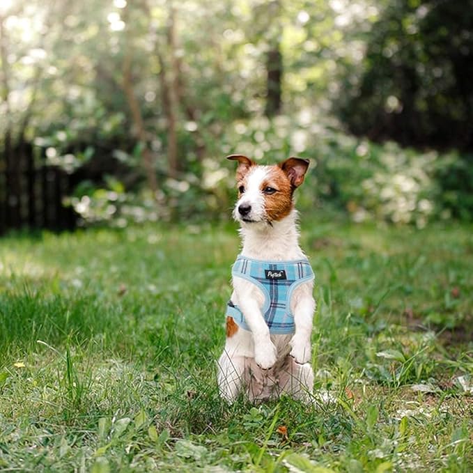 PUPTECK Soft Mesh Dog Harness and Leash Set Pet Puppy Cat Comfort Padded Vest No Pull Harnesses, Light Blue, M