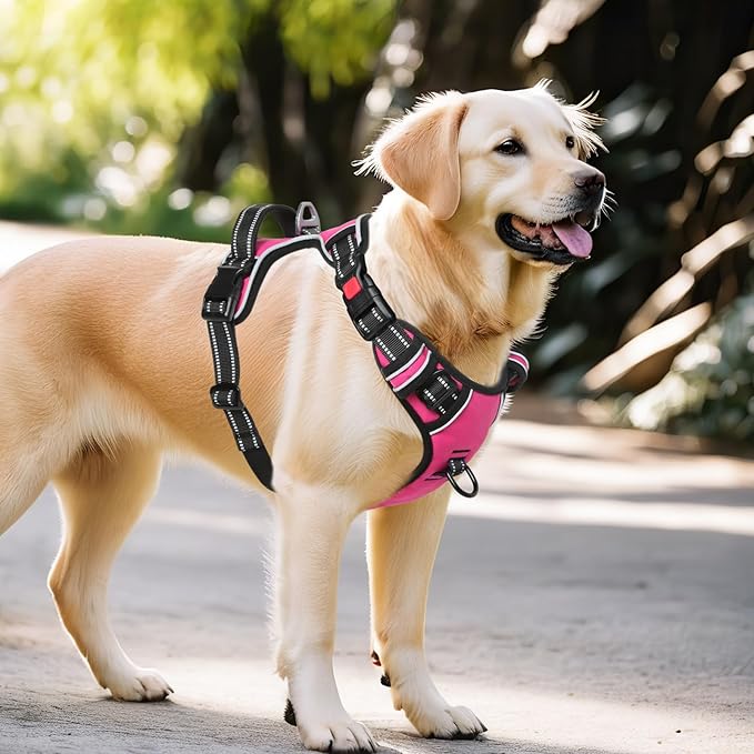 Timos No Pull Dog Harness, No Choke Front Lead Dog Reflective Harness, Adjustable Soft Padded Pet Vest with Easy Control Handle for Small Medium Large Dogs, X-Large (Pack of 1)