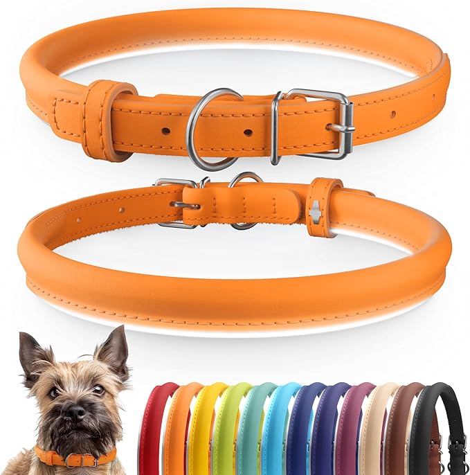 CollarDirect Rolled Leather Dog Collar, Soft Padded Round Puppy Collar, Handmade Genuine Leather Collar Dog Small Large Cat Collars 13 Colors (8-11 Inch, Orange Smooth)