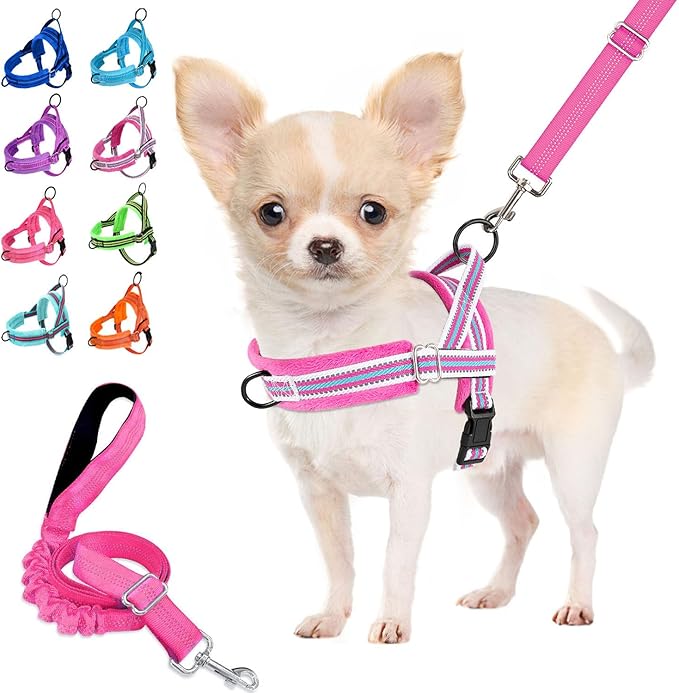 Lukovee No Pull Dog Harness and Leash Set, Soft Padded Small Dog Harness, Neck & Chest Adjustable Reflective Vest Puppy Harness with 4ft Lightweight Anti-Twist Dog Leash for Small Dogs (XS, Fuschia)