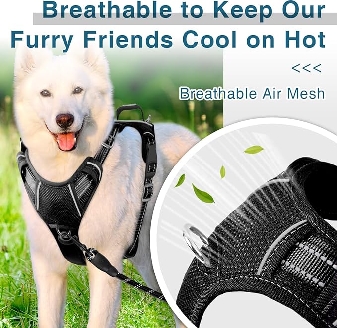 BARKBAY Dog Harness No Pull with ID Tag Pocket - Heavy Duty, Reflective, Easy Control for Small Dogs(Black,S)