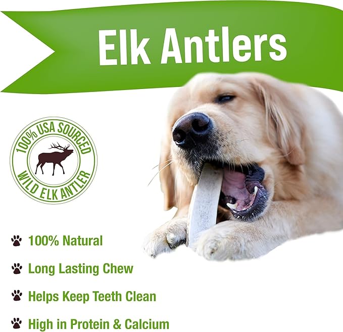 Buck Bone Organics Dog Chews, Elk Antlers for Dogs, Long Lasting Dog Bones for Aggressive Chewers, All Natural, No Preservatives, Wild Shed in The USA (Large)
