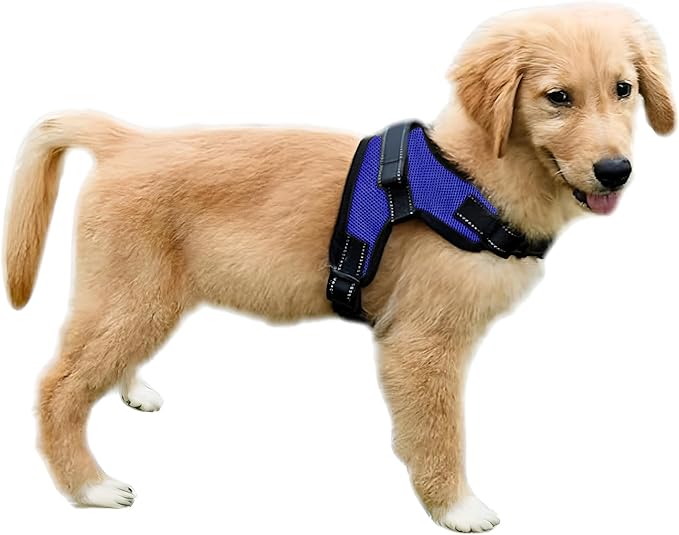 No Pull Reflective Adjustable Dog Harness With Handle- Comfortable Soft All Weather Mesh, Easy On Puppy Harness For Small Medium and Large Dogs (Blue) Small