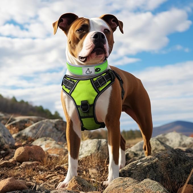 Joytale Dog Collar for Medium Dogs, Neoprene Padded and Adjustable, Reflective Wide Heavy Duty Pet Collars with Durable Metal Belt Buckle for Walking, Green, M