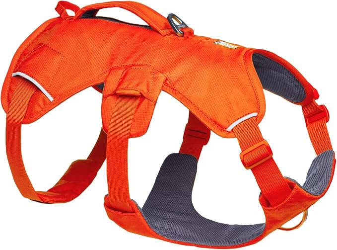 Ruffwear, Web Master, Multi-Use Support Dog Harness, Hiking and Trail Running, Service and Working, Everyday Wear, Blaze Orange, Large/X-Large