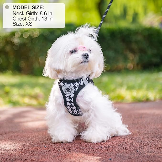 BEAUTYZOO Small Dog Harness and Leash Set,Step in No Choke No Pull Soft Mesh Dog Harnesses Reflective for Extra Small Medium Puppy Dogs and Cats, Plaid Dog Vest Harness for XS S Pets, Black XS
