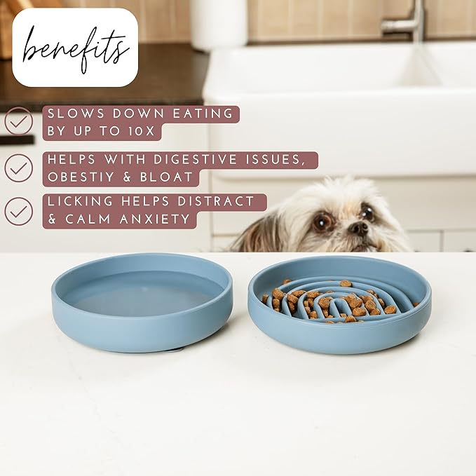 Should We Go? Slow Feeder for Dogs & Cats, The Slowdown Bowl Silicone Slow Eating Mealtime Solution with Modern Lick Mat Design, Reduces Gulping, Fits 1 Cup, 6” Across x 1.25” Tall, Small-Sage