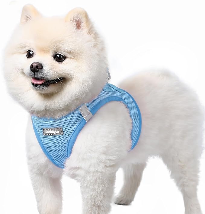 rabbitgoo Small Dog Harness, Step-in Soft Mesh Puppy Vest with Safety Buckle, Breathable Reflective Pet Harness for Small Sized Dogs, Blue S