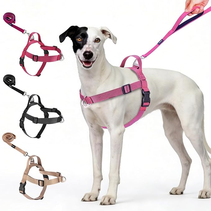 Annchwool No Pull Dog Harness with Front Clip and Easy Control Handle-Belly & Chest Adjustable Dog Harness and Leash Set for Small Medium Dogs-Heavy Duty Vest Harnesses Easy for Walking(Pink,S)