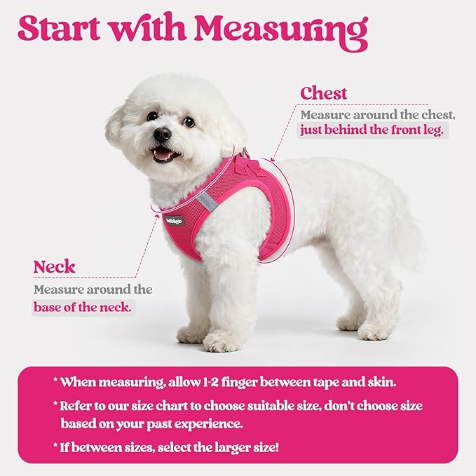 rabbitgoo Dog Harness Small Medium Sized and Leash Set, Step in Soft Light Puppy Vest, Breathable Mesh Pet Harness, Reflective for Safe Easy Walking, Rosa Red XL